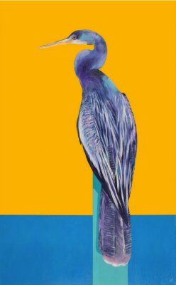 Wooley Dutton - Born to Soar