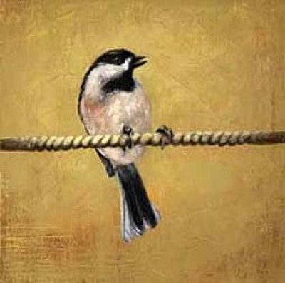 Caryn King - Chickadee