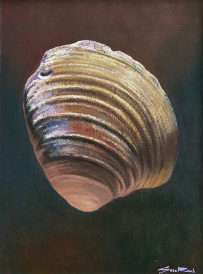 Sean Roach - Clam