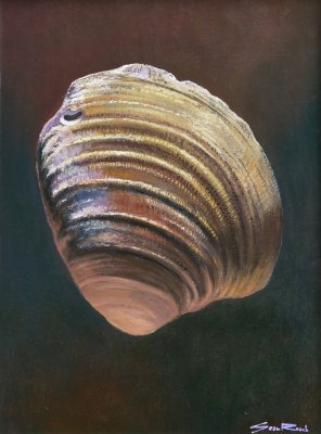 Sean Roach - Clam