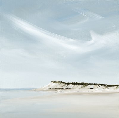 Rick Fleury - Martha's Vineyard