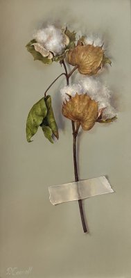 Pam Carroll - Cotton Branch