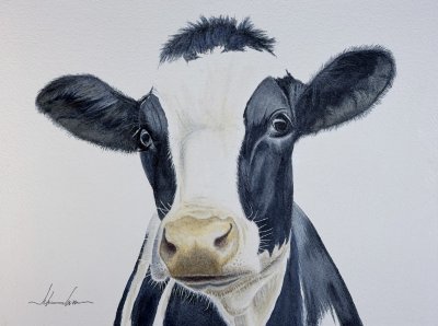 Julien Jarreau - Cow