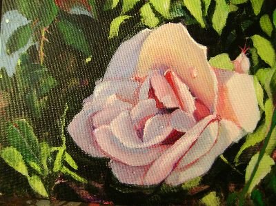 Maya Farber - A Perfect Rose