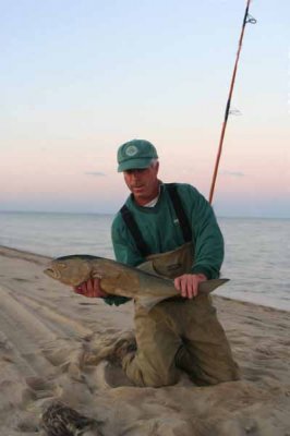 Louisa Gould - Derby Fisherman