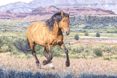 Linda Besse - Forever Wild