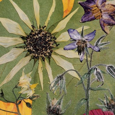 Peggy Turner Zablotny - Sunflower & Borage