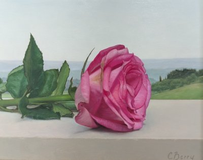 Colin Berry - Fuscia Rose