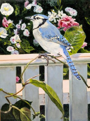 Linda Besse - Garden Visitor