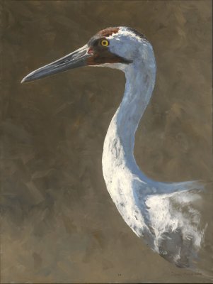 Linda Besse - Gold Collection - Whooping Crane