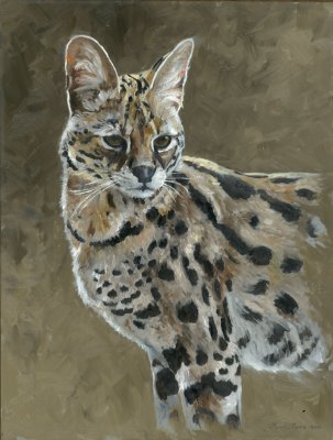 Linda Besse - Gold Collection - Serval