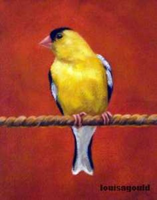 Caryn King - Goldfinch 2