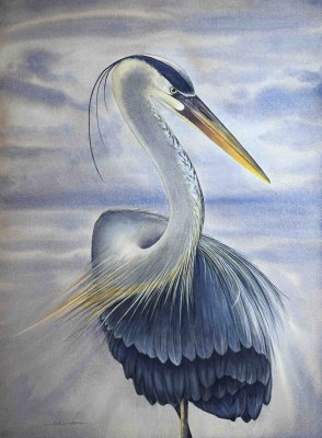 Julien Jarreau - Great Blue Heron