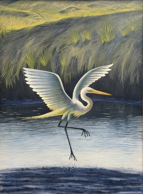 Julien Jarreau - Great Egret in Marsh
