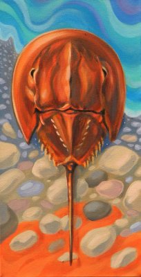Jack Yuen - Horseshoe Crab