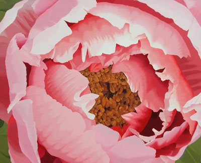 Thaw Malin III - Huge Pink Peony