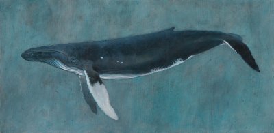 Ralph Frisina - Study of a Humpback Whale