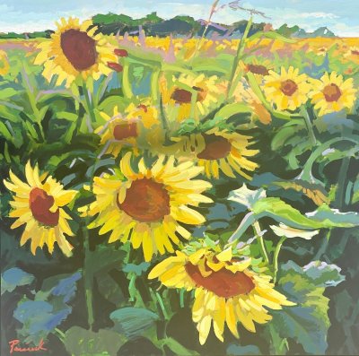 Nick Paciorek - Summer Sunflowers