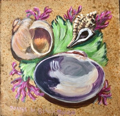 Donna M. Blackburn - Seashells and Seaweed