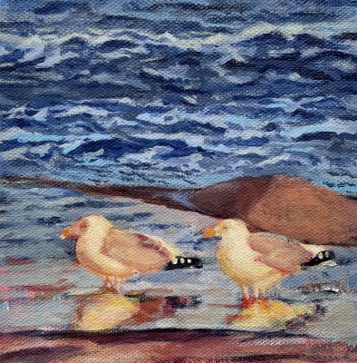 Stephen Engley - Seagulls