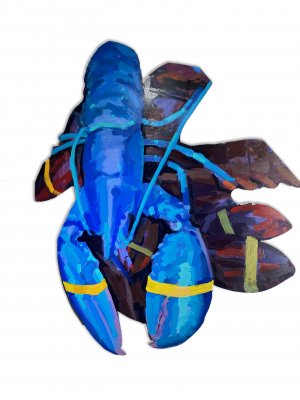 Nick Paciorek - Blue Lobster