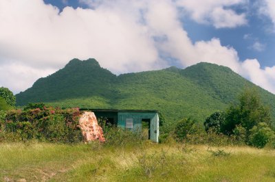 Louisa Gould  - Remote