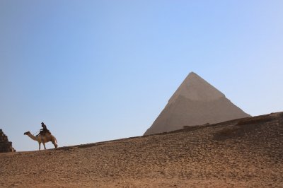 Louisa Gould  - Camel Rider