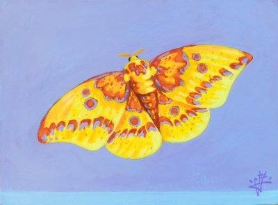 Jack Yuen - Imperial Moth