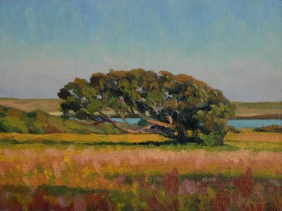 Marjorie Mason - Chilmark Tree