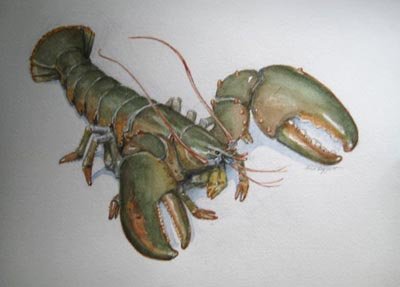Ann Leggett - Lobster 2 