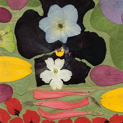 Peggy Turner Zablotny - Marvelous Delight