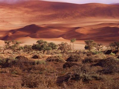 Alan Brigish - Namibia Sunset