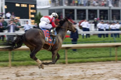 Louisa Gould  - Winner of the Kentucky Derby - Orb