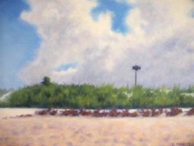 Laura Roberts - Osprey Nest