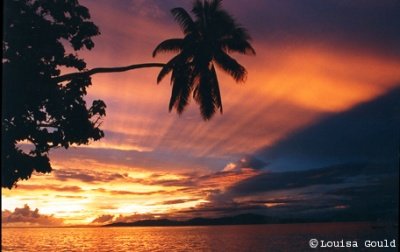 Louisa Gould - Paradise Fiji