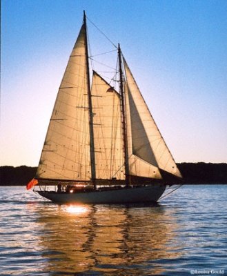 Louisa Gould - Peaceful Sail, Rebecca