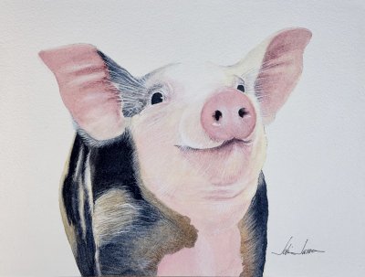 Julien Jarreau - Pig