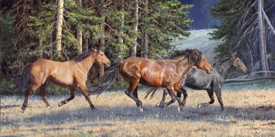 Linda Besse - Range Runners 