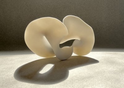 Sandra Byers - Lolloping