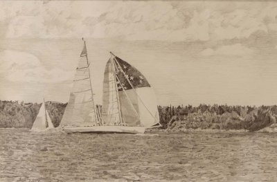 Carol Rowan - sailing the coast