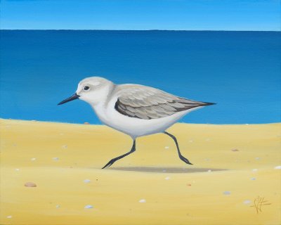 Jack Yuen - Sanderling 2