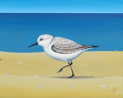 Jack Yuen - Sanderling 1