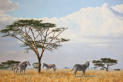 Linda Besse - Savanna