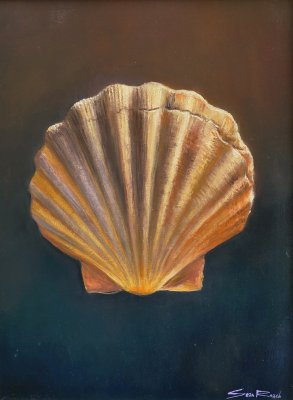 Sean Roach - Scallop