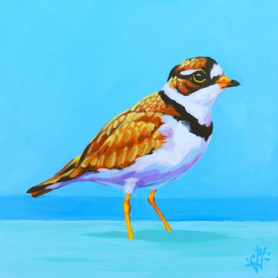 Jack Yuen - Semipalmated Plover