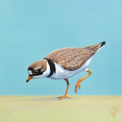 Jack Yuen - Semipalmated Plover