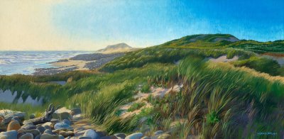Sean Roach - Squibnocket Sandy Dunes
