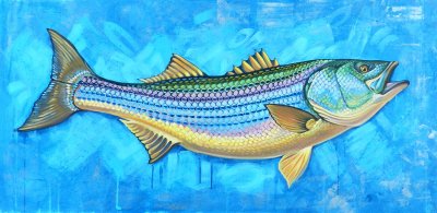 Jack Yuen - Striped Bass