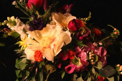 Louisa Gould - Vineyard Flowers