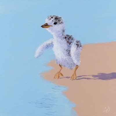 Wooley Dutton - Leap of Faith IX Beachy